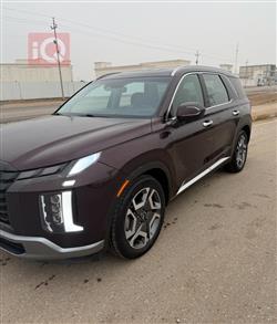 هیۆندای پالیسەید